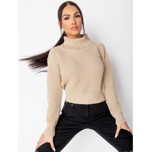 Beige Knitted Long Sleeve Turtle Neck Loose Fit Sweater Top - Picture 6 of 9